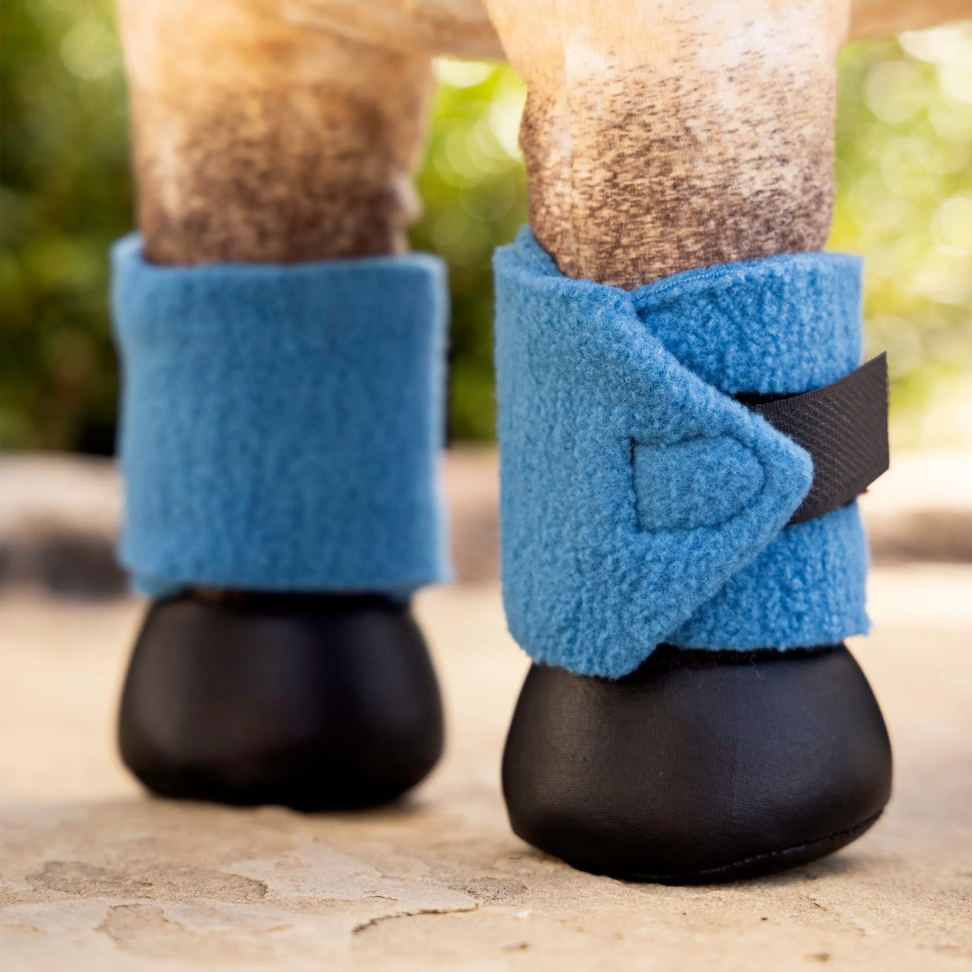 Lemieux Toy Pony Bandages - Pacific